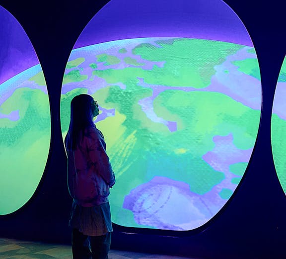 Visitor observing Our Wondrous Planet exhibit at Melbourne Museum.