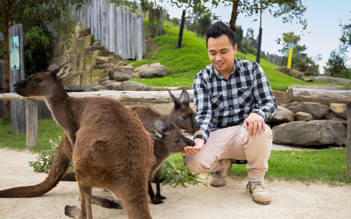 all-inclusive small-group blue mountains tour with scenic world, lunch, wildlife park & river cruise-16 all-inclusive small-group blue mountains tour with scenic world, lunch, wildlife park & river cruise-16