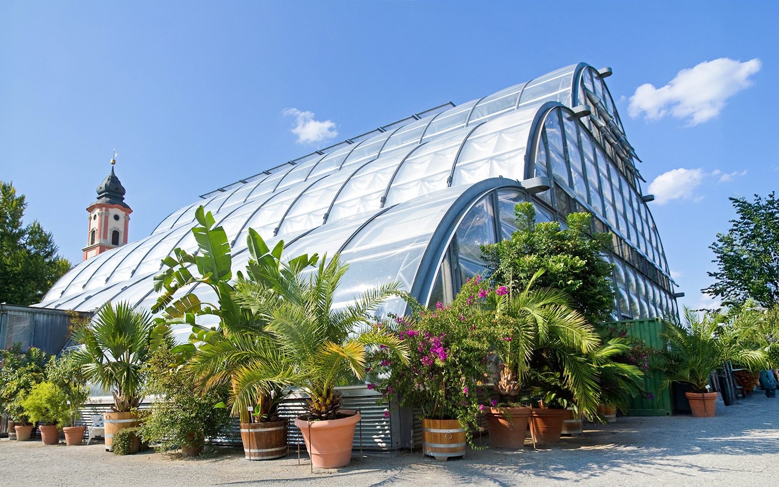 Palm House on Mainau Island with tropical plants and a church tower in the background.