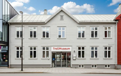 Tromso Private Old Town Walking Tour with Northern Lights Cruise