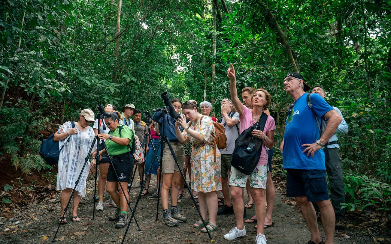 Group observing wildlife with binoculars in Manuel Antonio National Park tour.