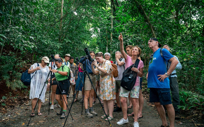 Group observing wildlife with binoculars in Manuel Antonio National Park tour.