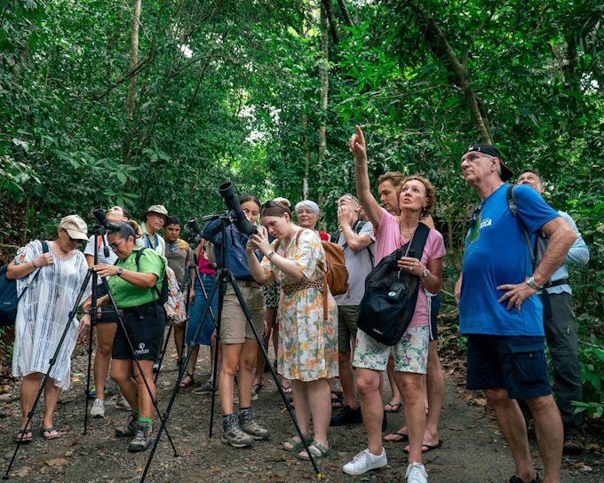 Manuel Antonio National Park Guided Tour with Wildlife Viewing and Beach Access from Manuel Antonio (Product 53558)