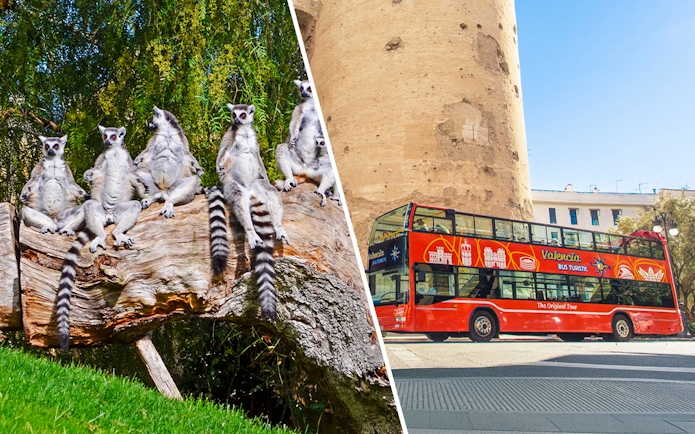 Lemurs at Bioparc Valencia and a Valencia hop-on hop-off bus near a historic tower.