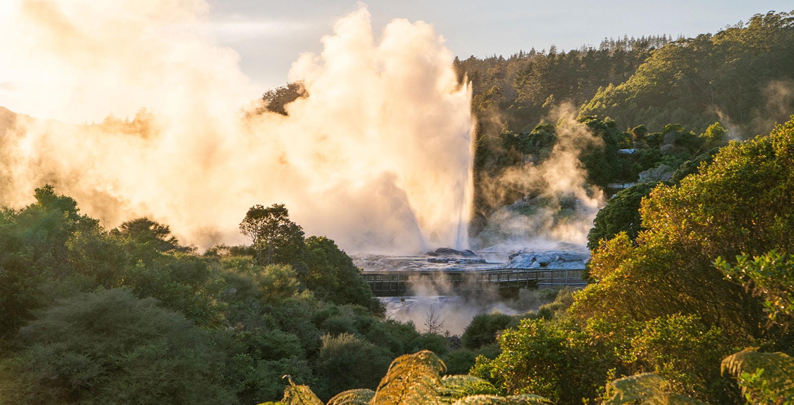 Te Puia geothermal park with steam, Māori cultural performance, Hāngī buffet dinner, Rotorua, New Zealand.