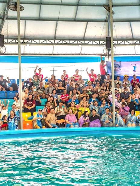 Audience watching a dolphin show in Phuket stadium.