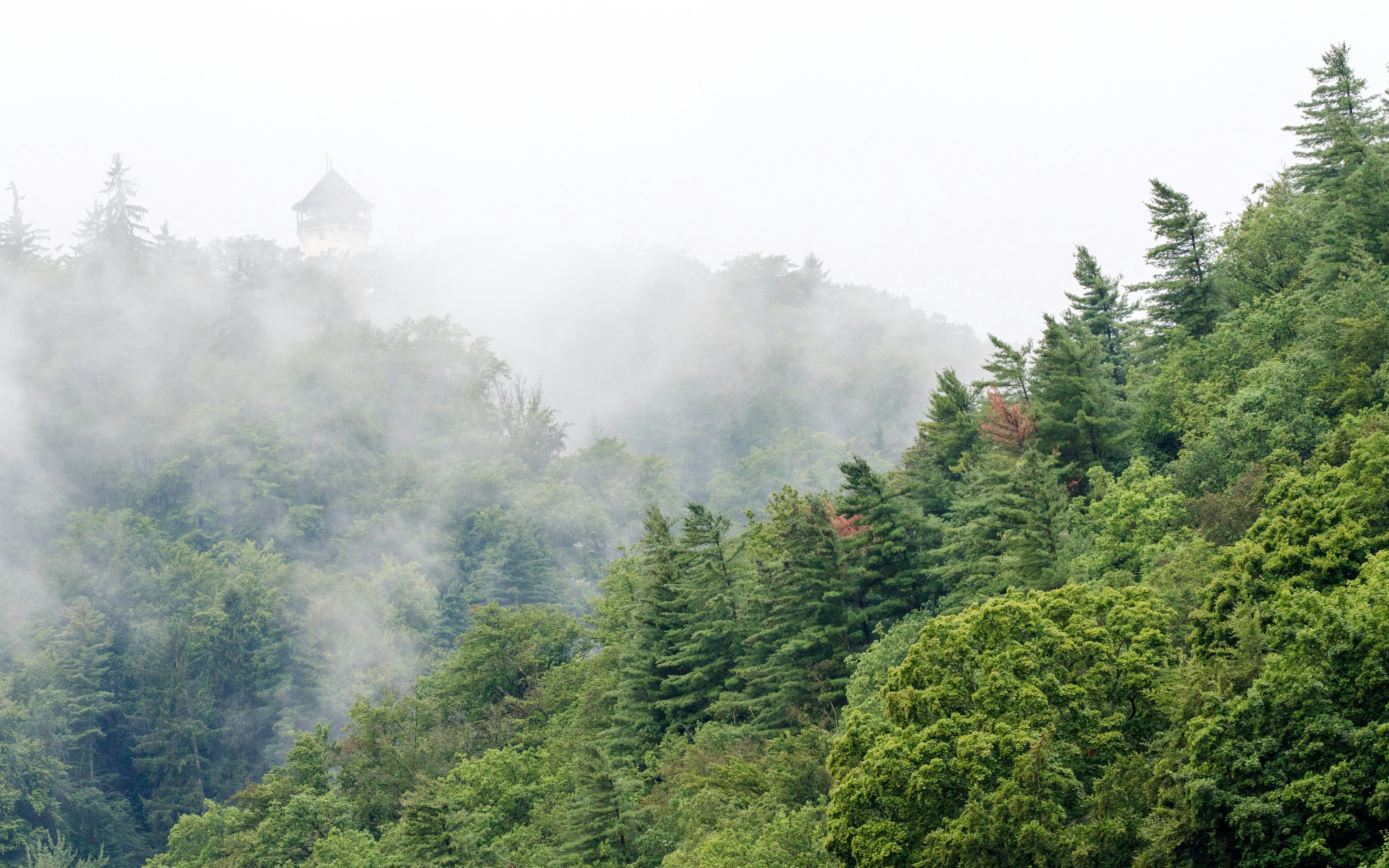 Misty forest landscape with a tower in Karlovy Vary, Czech Republic.