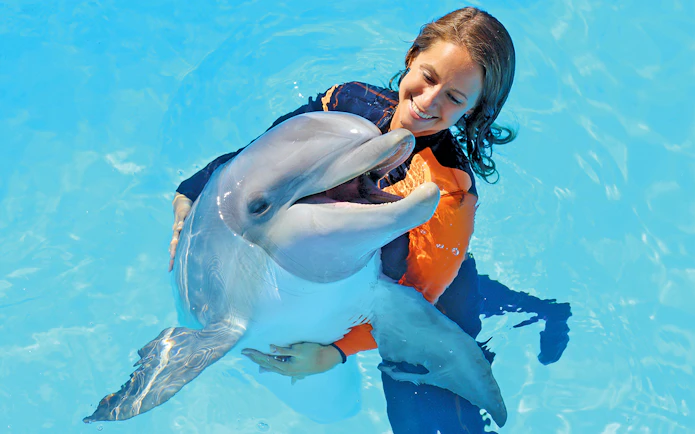 Dolphin interaction at Zoomarine with participant in water.