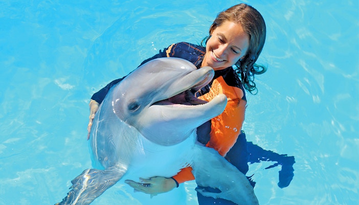 Dolphins performing at Zoomarine Albufeira during Dolphin Emotions Experience.
