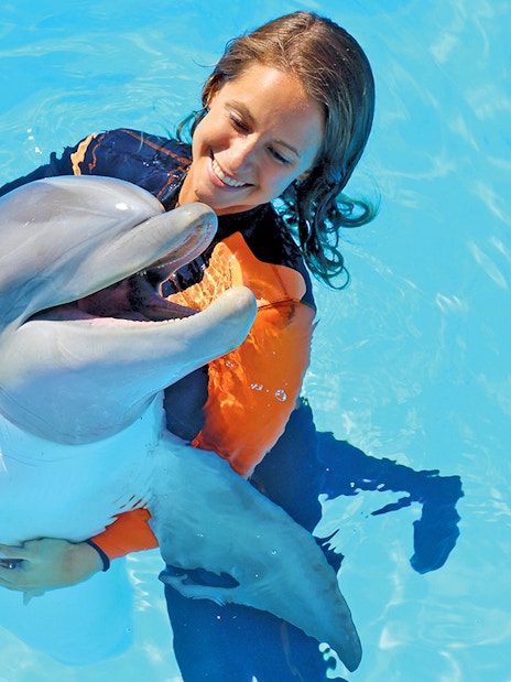 Dolphin interaction at Zoomarine with participant in water.