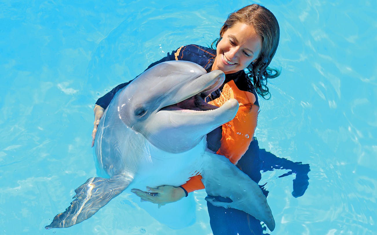 Dolphin interaction at Zoomarine with participant in water.