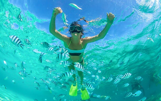 Snorkeler surrounded by fish in clear waters during Fujairah half-day tour.
