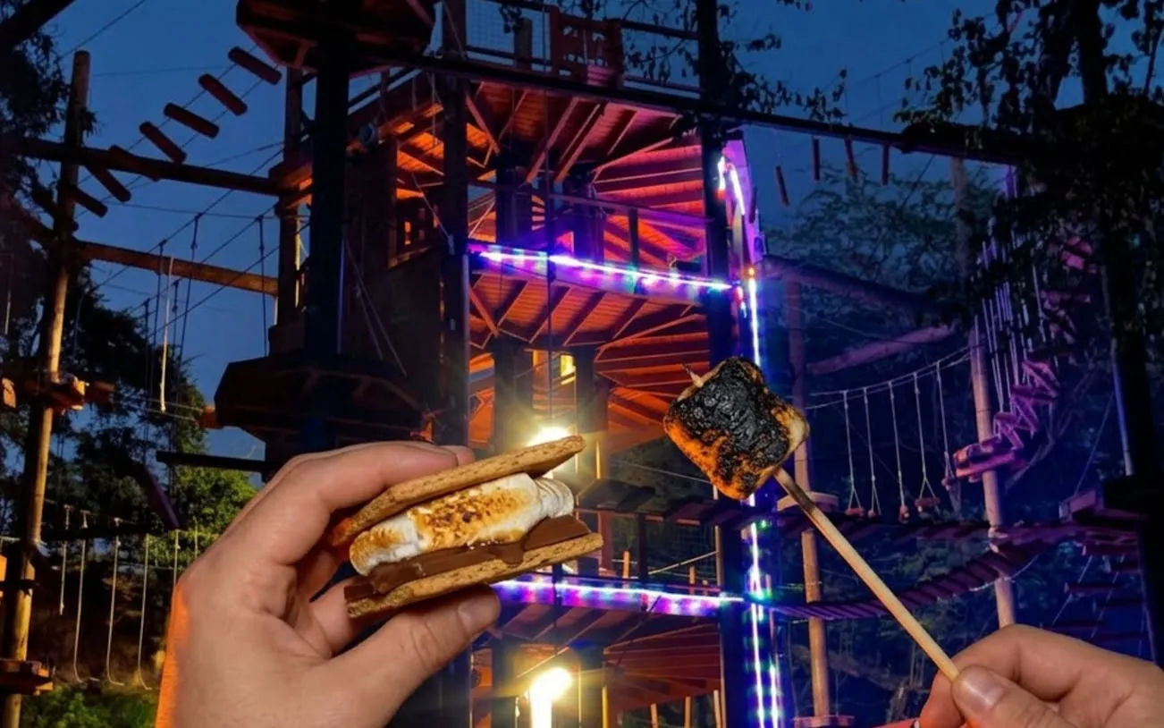 Nighttime adventure course with hands holding s'mores and roasted marshmallow.