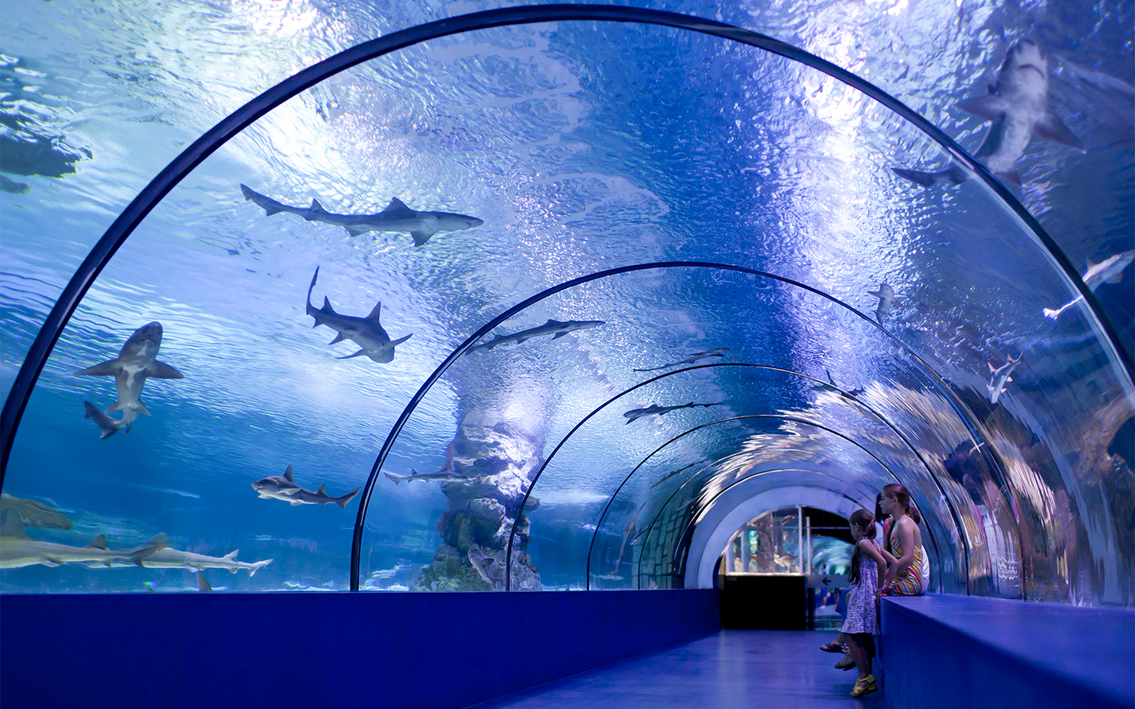 Marineland of Antibes