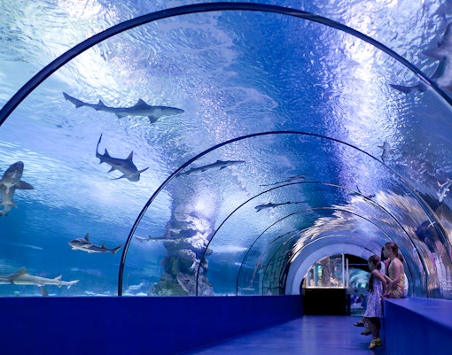 Visitors in underwater tunnel with sharks at Marineland of Antibes.