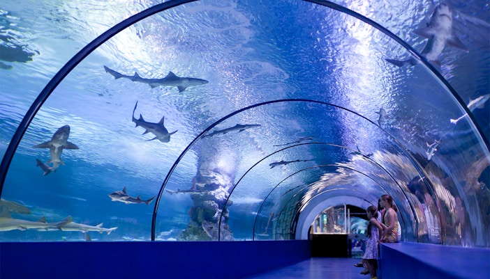 Marineland of Antibes