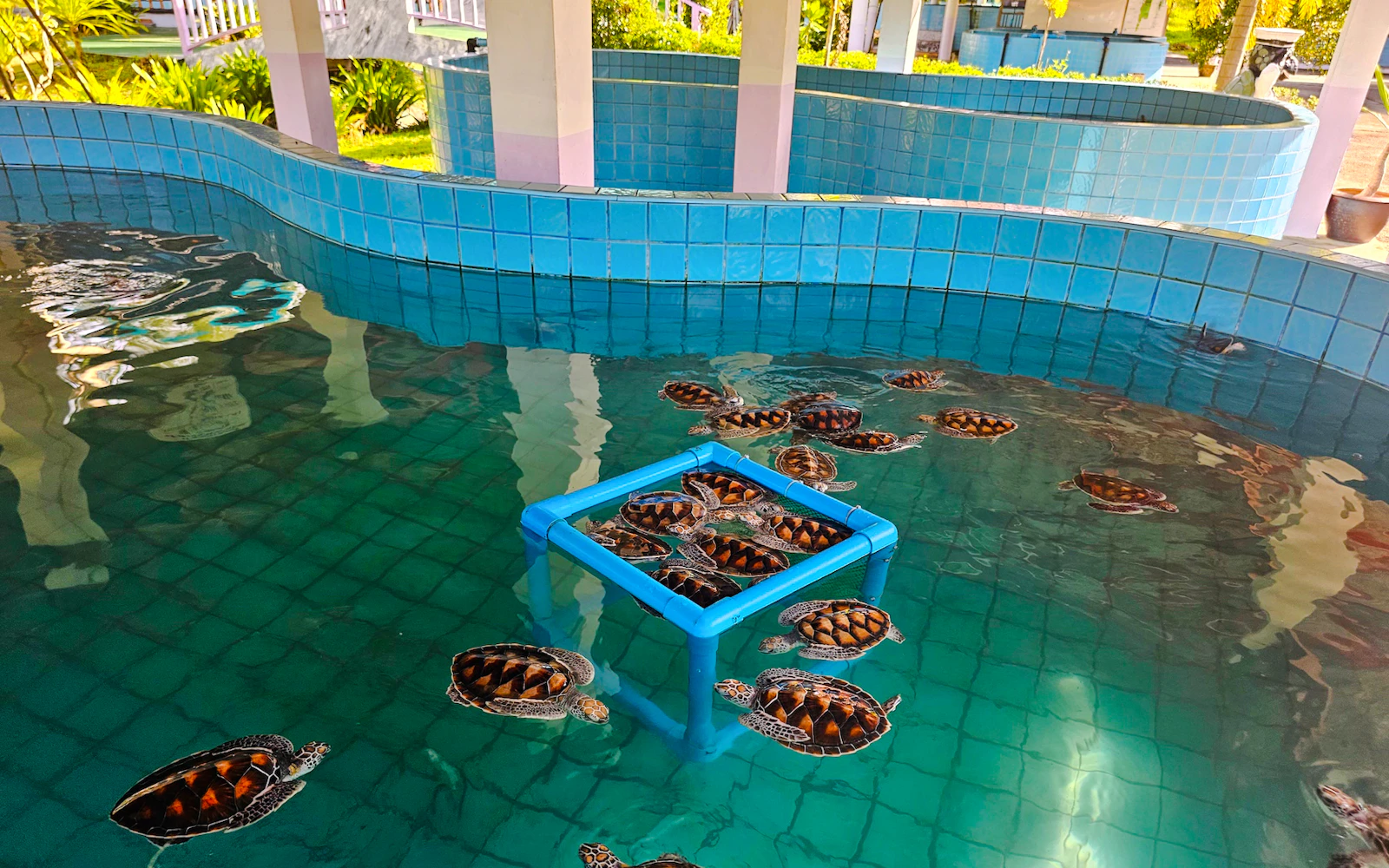 From Phuket: Private Khao Lak Day Trip with Bamboo Rafting, ATV Ride and Lunch Image 12