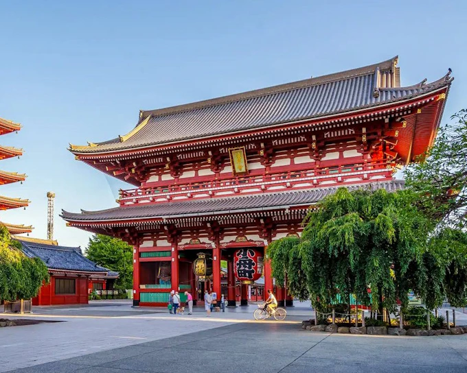 Tokyo Private City Tour with Skytree Admission and Asakusa–Odaiba Cruise