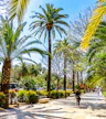 Paseo del Parque