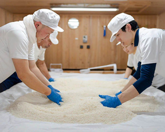 Fukui: Yoshida Sake Brewery Tour with Sake Tasting