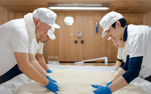 Workers preparing sake rice at Yoshida Sake Brewery, Fukui.
