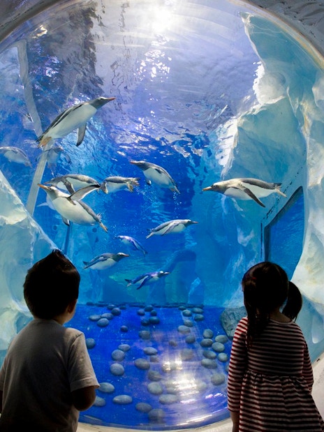 Children watching penguins swim at SEA LIFE Birmingham.