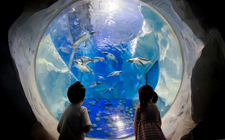 National SEA LIFE Centre Birmingham Tickets