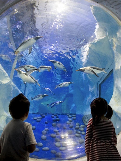 Children watching penguins swim at SEA LIFE Birmingham.