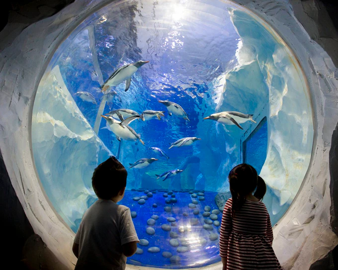 National SEA LIFE Centre Birmingham Tickets