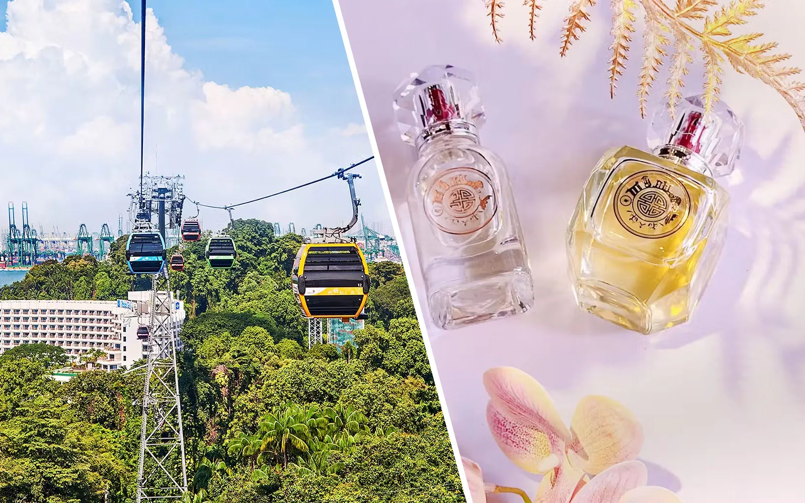 Cable cars over Sentosa Island, Singapore, with lush greenery and cityscape in the background.