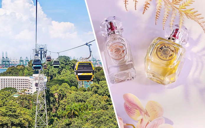 Cable cars over Sentosa Island, Singapore, with lush greenery and cityscape in the background.