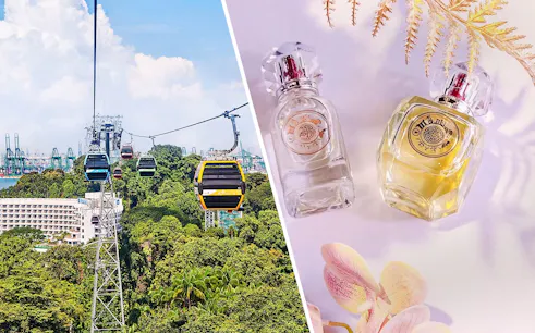Cable cars over Sentosa Island, Singapore, with lush greenery and cityscape in the background.