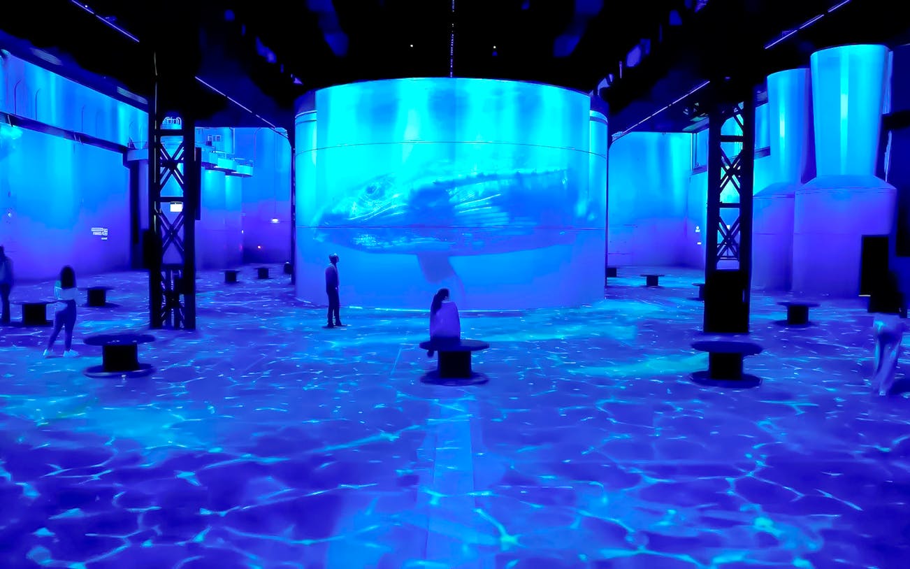Guests exploring immersive ocean exhibit at Port des Lumières.
