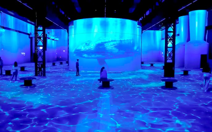 Guests exploring immersive ocean exhibit at Port des Lumières.