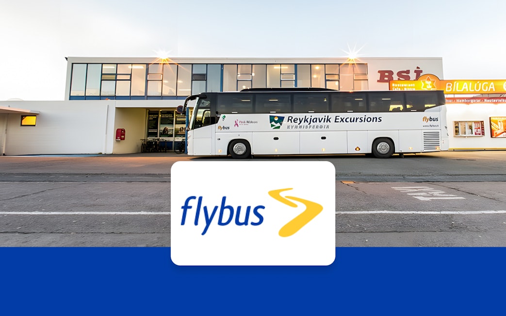 Flybus at Reykjavik BSI Bus Terminal for Keflavik Airport transfer.