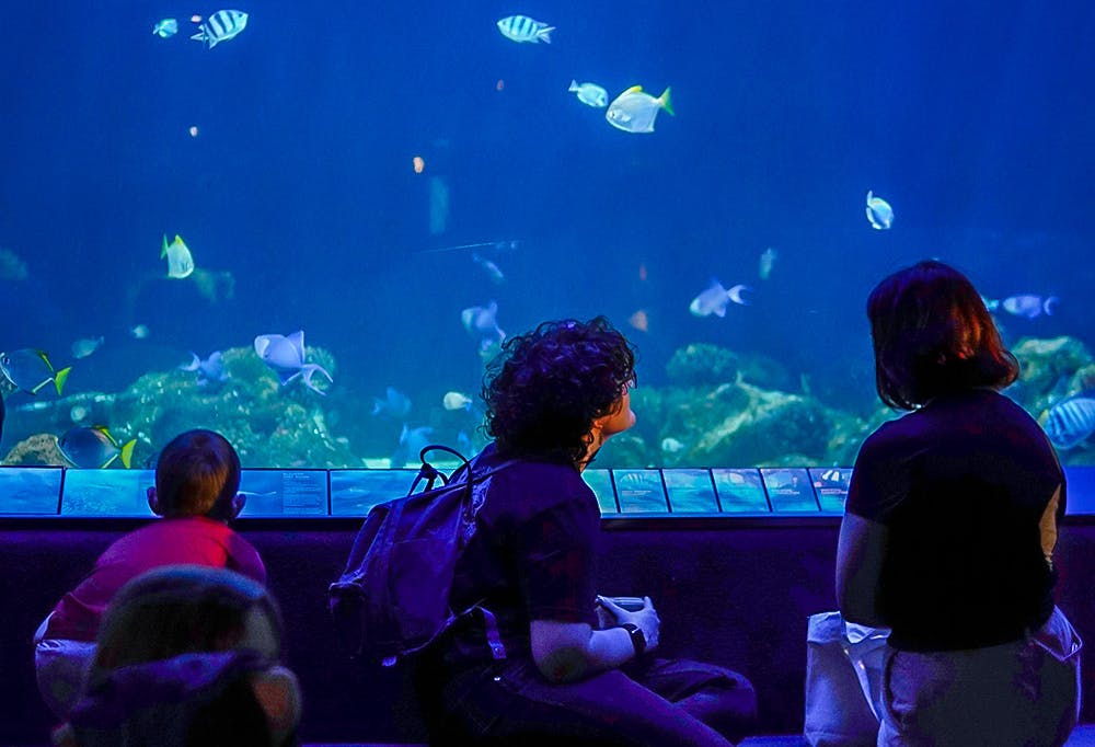 Vancouver Aquarium