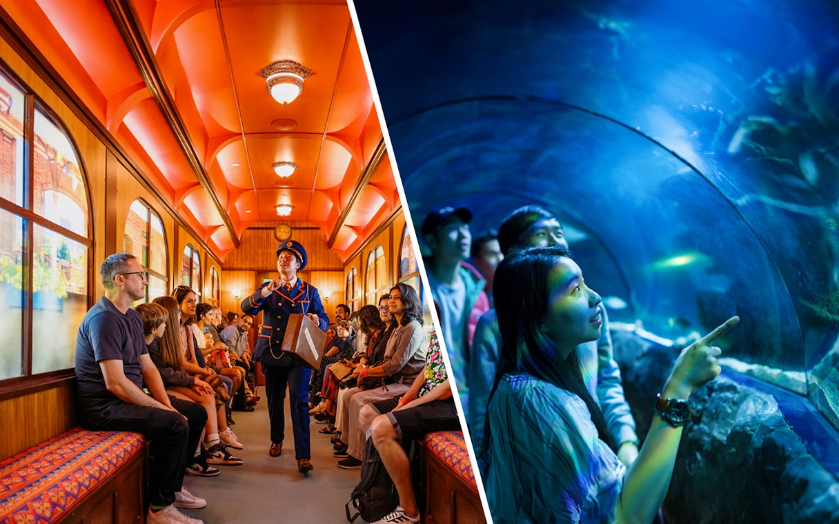 Paddington train experience and visitors in Sea Life London aquarium tunnel.