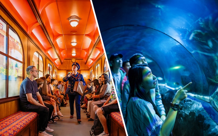 Paddington train experience and visitors in Sea Life London aquarium tunnel.
