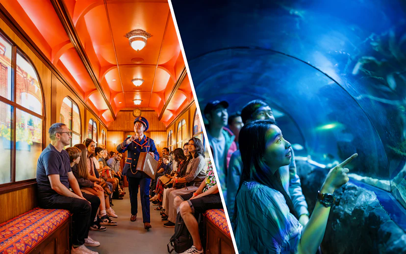 Paddington train experience and visitors in Sea Life London aquarium tunnel.