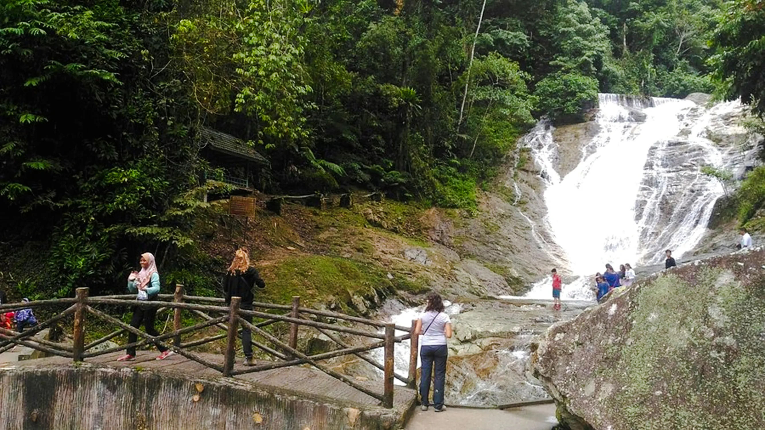 from kuala lumpur: private cameron highlands tour-10
