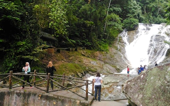 from kuala lumpur: private cameron highlands tour-10