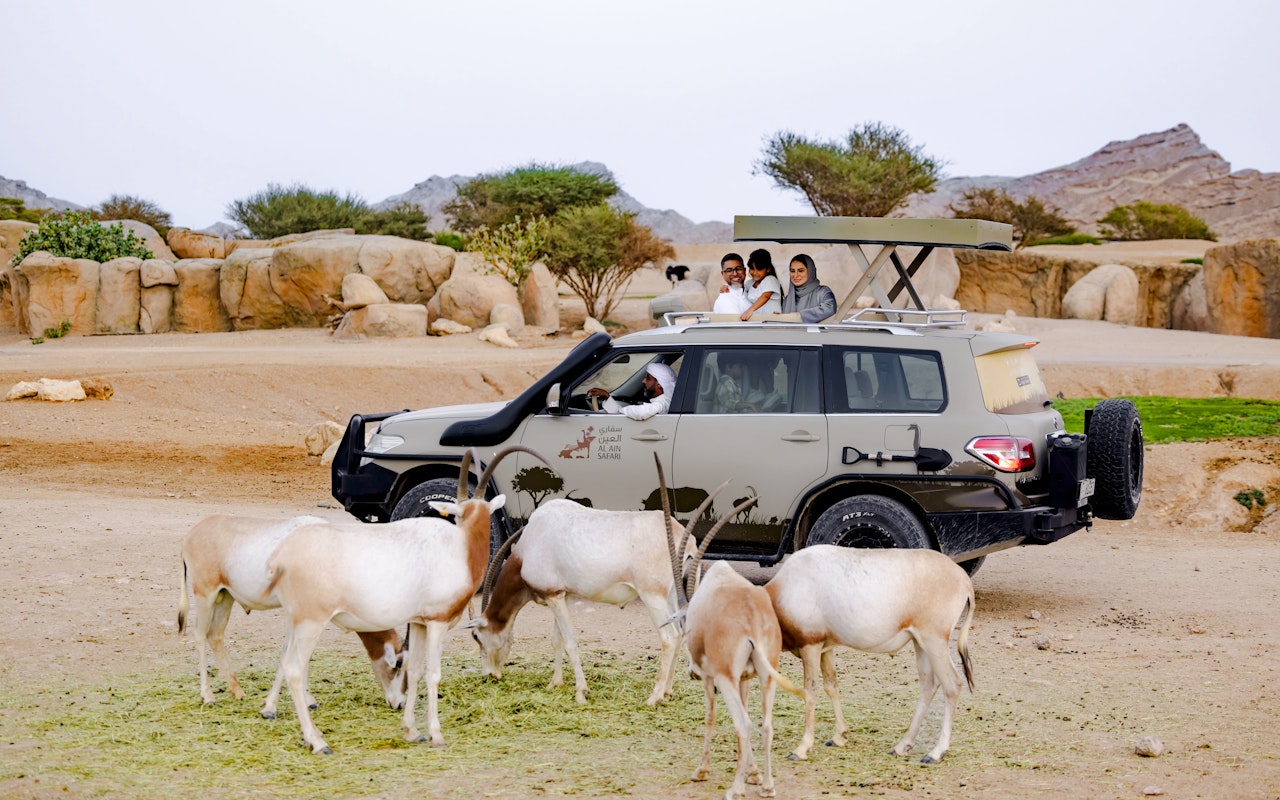 Biglietti per lo zoo di Al Ain — 6