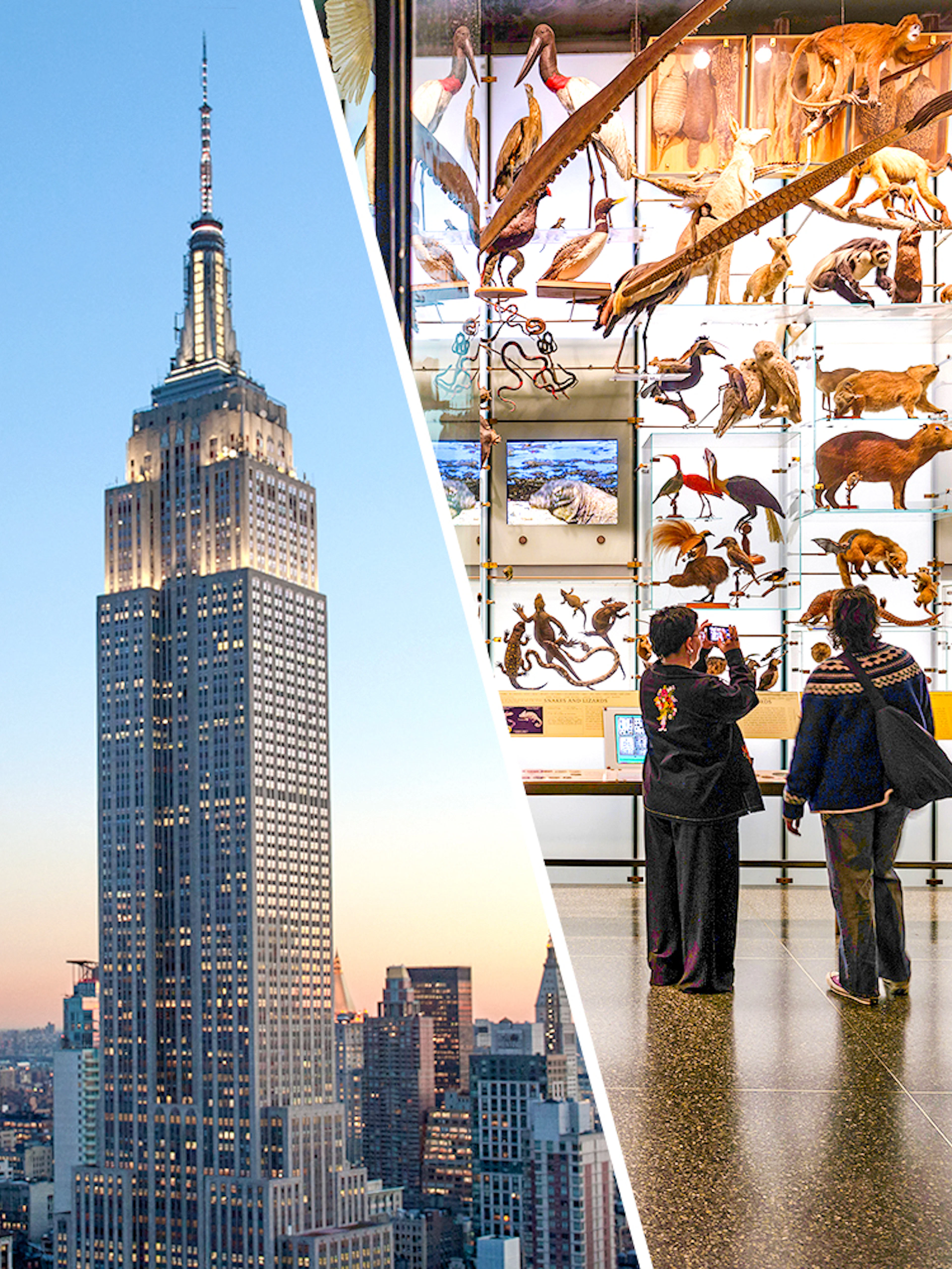 Empire State Building view and visitors at American Museum of Natural History exhibit.