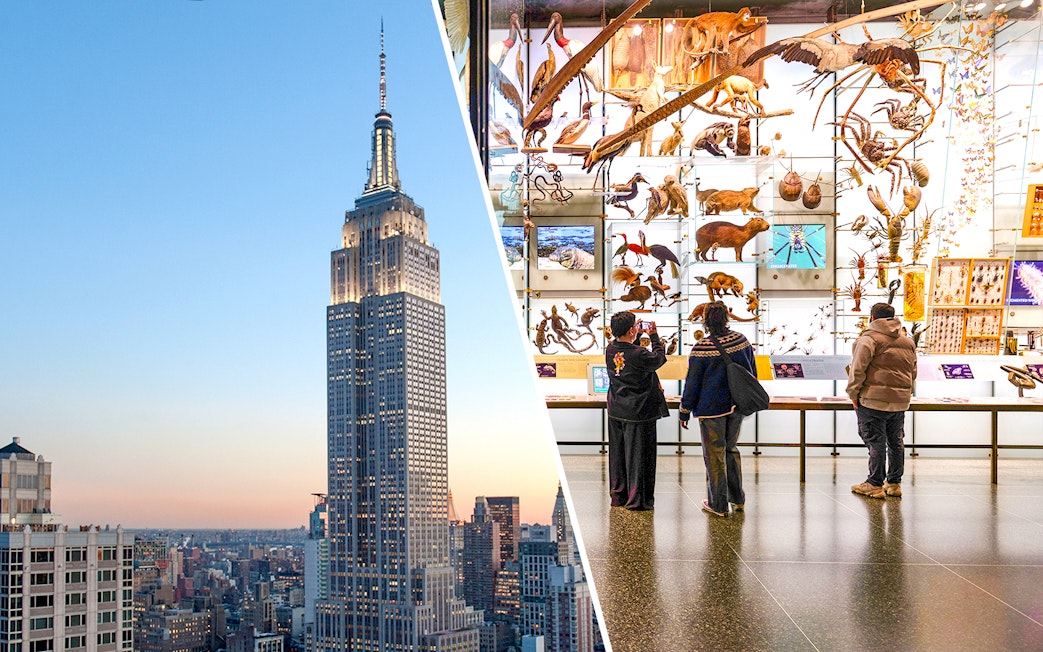 Empire State Building view and visitors at American Museum of Natural History exhibit.