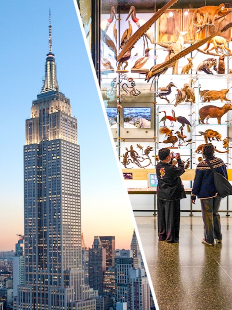 Empire State Building view and visitors at American Museum of Natural History exhibit.