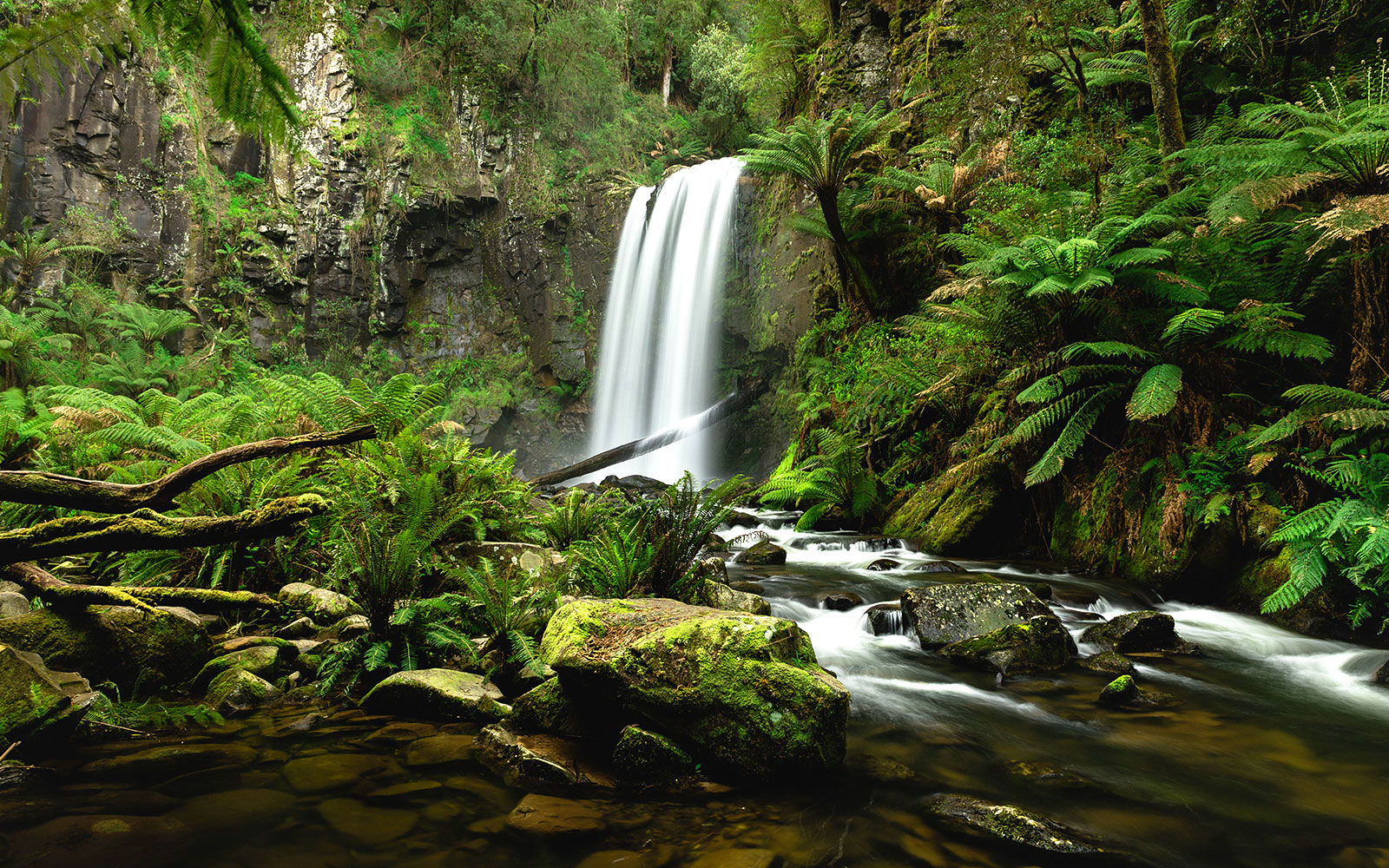 Great Otway National Park