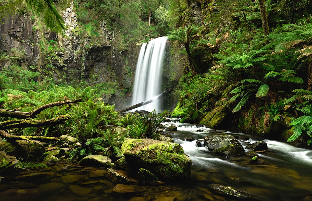 Hopetoun Falls cascading in lush forest, Great Otway National Park, Australia.
