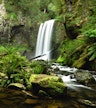 Parc national Great Otway