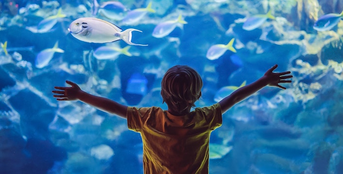 Paris Aquarium Tickets