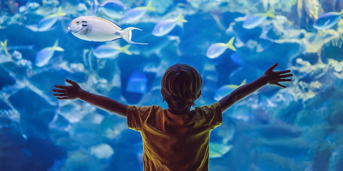 Entradas Acuario de París